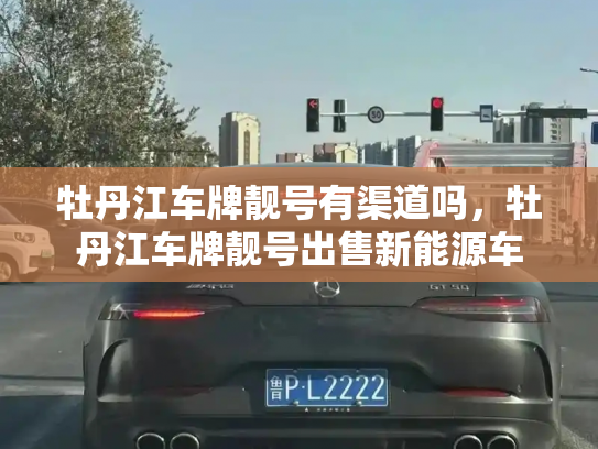 牡丹江车牌靓号有渠道吗，牡丹江车牌靓号出售新能源车-第3张图片-七号汽车选号
