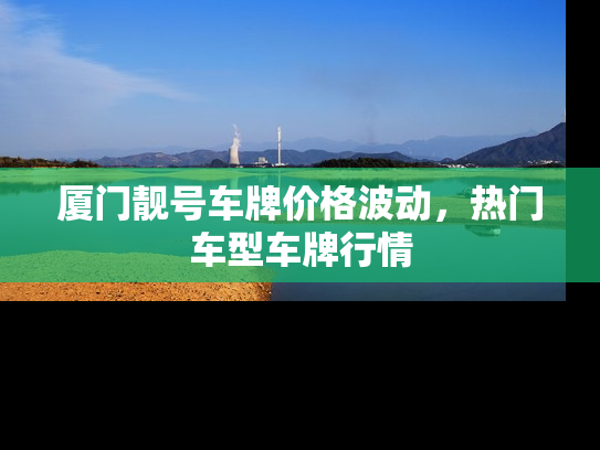 厦门靓号车牌价格波动，热门车型车牌行情