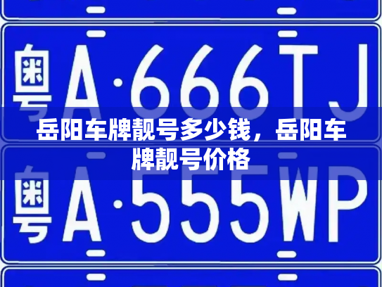 岳阳车牌靓号多少钱,岳阳车牌靓号价格-第3张图片-七号汽车选号 岳阳车牌靓号多少钱,岳阳车牌靓号价格-第3张图片-七号汽车选号