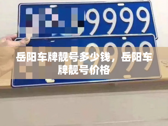 岳阳车牌靓号多少钱,岳阳车牌靓号价格-第4张图片-七号汽车选号 岳阳车牌靓号多少钱,岳阳车牌靓号价格-第4张图片-七号汽车选号