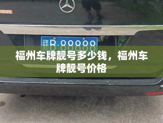 福州车牌靓号多少钱，福州车牌靓号价格-第4张图片-七号汽车选号