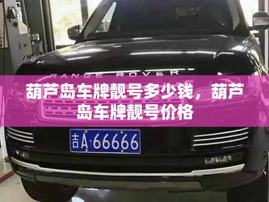 葫芦岛车牌靓号多少钱，葫芦岛车牌靓号价格-第3张图片-七号汽车选号