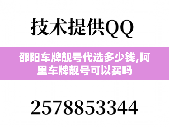 邵阳车牌靓号代选多少钱,阿里车牌靓号可以买吗