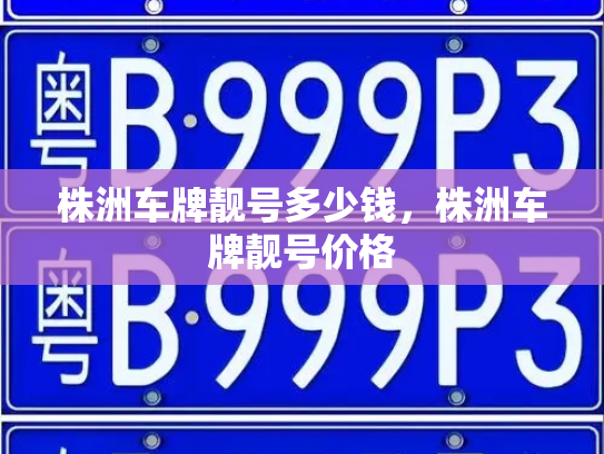 株洲车牌靓号多少钱，株洲车牌靓号价格-第3张图片-七号汽车选号