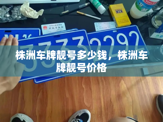 株洲车牌靓号多少钱，株洲车牌靓号价格-第4张图片-七号汽车选号