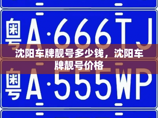 沈阳车牌靓号多少钱，沈阳车牌靓号价格-第3张图片-七号汽车选号