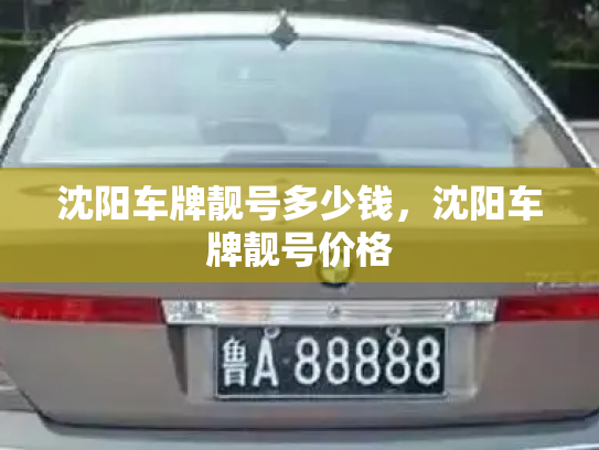 沈阳车牌靓号多少钱，沈阳车牌靓号价格-第4张图片-七号汽车选号