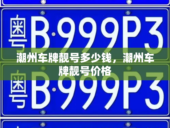 潮州车牌靓号多少钱,潮州车牌靓号价格-第3张图片-七号汽车选号 潮州车牌靓号多少钱,潮州车牌靓号价格-第3张图片-七号汽车选号