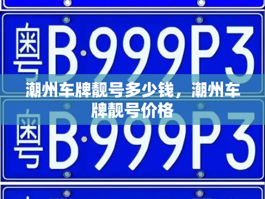 潮州车牌靓号多少钱,潮州车牌靓号价格-第4张图片-七号汽车选号 潮州车牌靓号多少钱,潮州车牌靓号价格-第4张图片-七号汽车选号