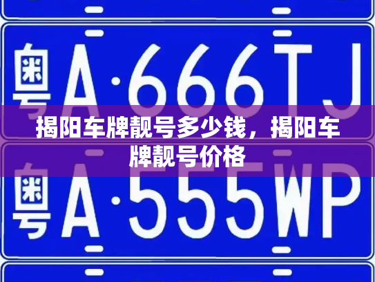 揭阳车牌靓号多少钱，揭阳车牌靓号价格-第3张图片-七号汽车选号
