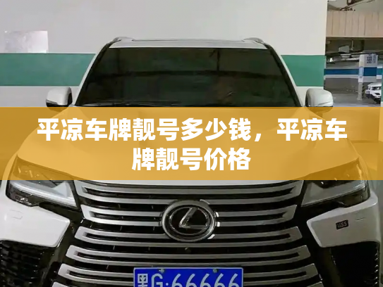 平凉车牌靓号多少钱，平凉车牌靓号价格-第4张图片-七号汽车选号