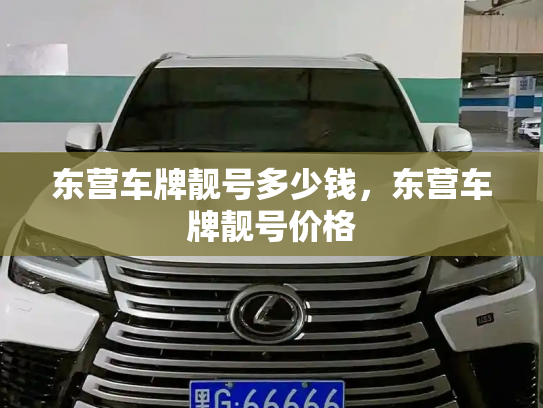 东营车牌靓号多少钱，东营车牌靓号价格-第4张图片-七号汽车选号