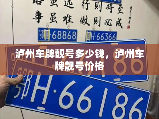 泸州车牌靓号多少钱，泸州车牌靓号价格-第3张图片-七号汽车选号
