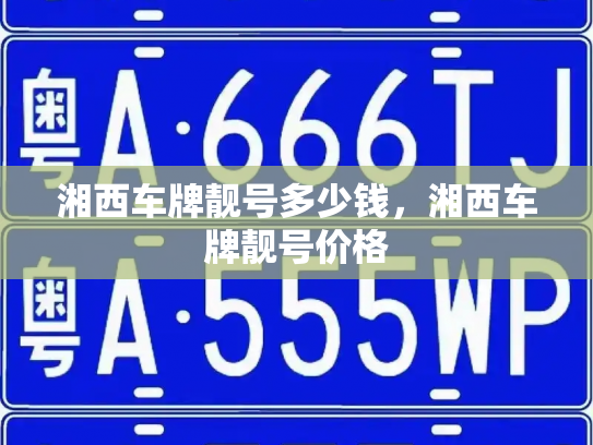 湘西车牌靓号多少钱,湘西车牌靓号价格-第3张图片-七号汽车选号 湘西车牌靓号多少钱,湘西车牌靓号价格-第3张图片-七号汽车选号