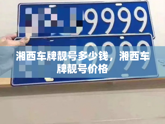 湘西车牌靓号多少钱,湘西车牌靓号价格-第4张图片-七号汽车选号 湘西车牌靓号多少钱,湘西车牌靓号价格-第4张图片-七号汽车选号