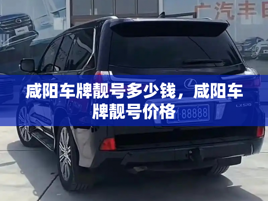 咸阳车牌靓号多少钱，咸阳车牌靓号价格-第3张图片-七号汽车选号