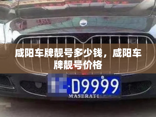 咸阳车牌靓号多少钱，咸阳车牌靓号价格-第4张图片-七号汽车选号