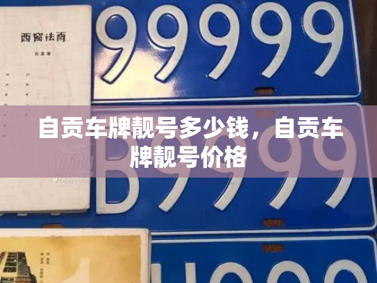 自贡车牌靓号多少钱,自贡车牌靓号价格-第3张图片-七号汽车选号 自贡车牌靓号多少钱,自贡车牌靓号价格-第3张图片-七号汽车选号