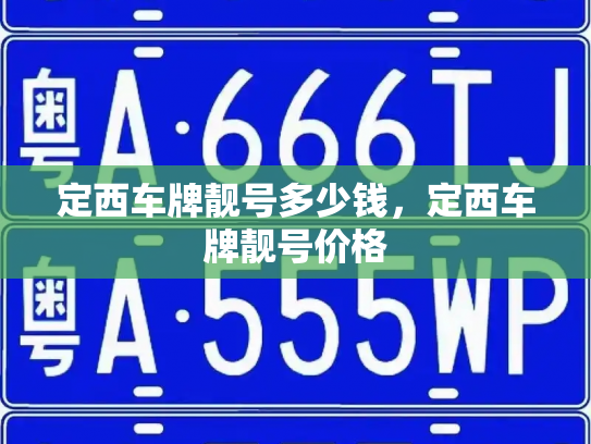 定西车牌靓号多少钱，定西车牌靓号价格-第4张图片-七号汽车选号