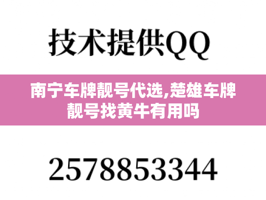 南宁车牌靓号代选,楚雄车牌靓号找黄牛有用吗
