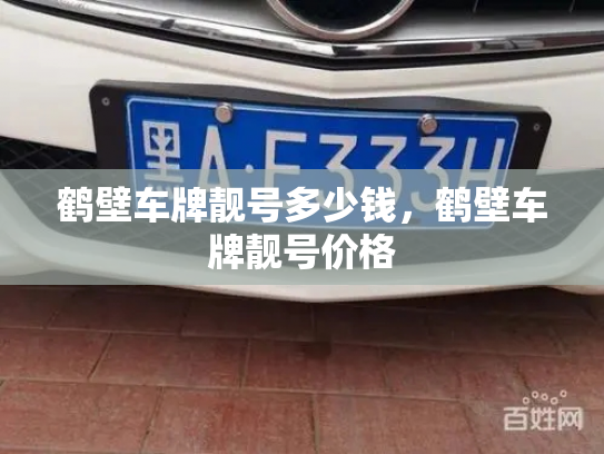 鹤壁车牌靓号多少钱，鹤壁车牌靓号价格-第3张图片-七号汽车选号