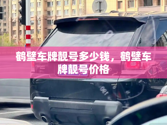 鹤壁车牌靓号多少钱，鹤壁车牌靓号价格-第4张图片-七号汽车选号