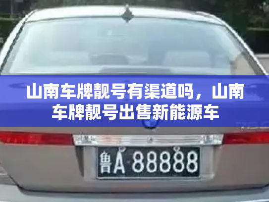 山南车牌靓号有渠道吗，山南车牌靓号出售新能源车-第2张图片-七号汽车选号