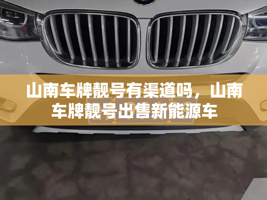 山南车牌靓号有渠道吗，山南车牌靓号出售新能源车-第3张图片-七号汽车选号