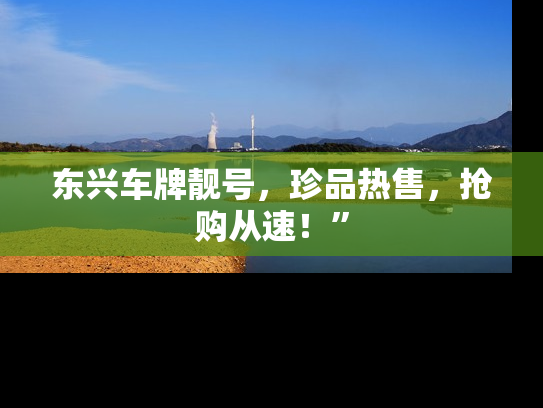 东兴车牌靓号，珍品热售，抢购从速！”