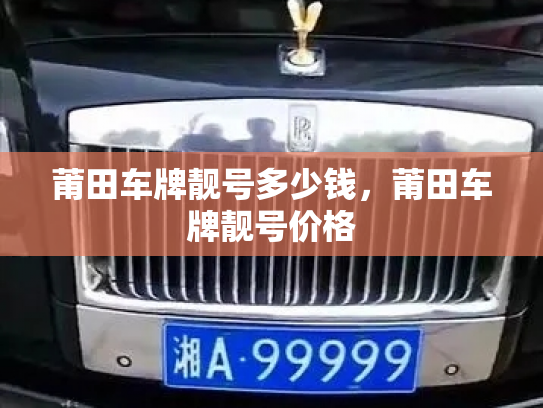 莆田车牌靓号多少钱，莆田车牌靓号价格-第3张图片-七号汽车选号