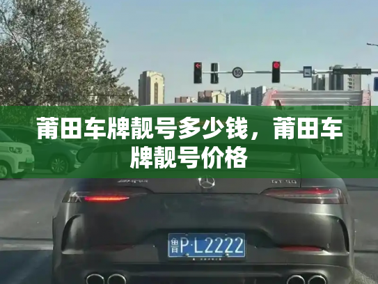 莆田车牌靓号多少钱，莆田车牌靓号价格-第4张图片-七号汽车选号