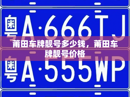 莆田车牌靓号多少钱，莆田车牌靓号价格-第2张图片-七号汽车选号