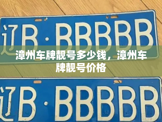 漳州车牌靓号多少钱,漳州车牌靓号价格-第4张图片-七号汽车选号 漳州车牌靓号多少钱,漳州车牌靓号价格-第4张图片-七号汽车选号