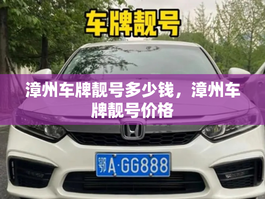 漳州车牌靓号多少钱,漳州车牌靓号价格-第2张图片-七号汽车选号 漳州车牌靓号多少钱,漳州车牌靓号价格-第2张图片-七号汽车选号