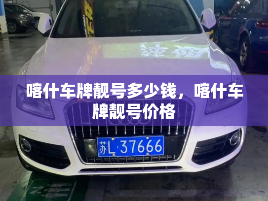 喀什车牌靓号多少钱，喀什车牌靓号价格-第2张图片-七号汽车选号