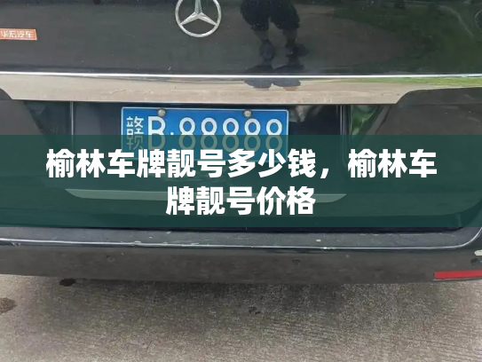 榆林车牌靓号多少钱，榆林车牌靓号价格-第3张图片-七号汽车选号