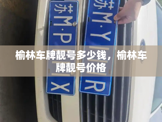 榆林车牌靓号多少钱，榆林车牌靓号价格-第4张图片-七号汽车选号