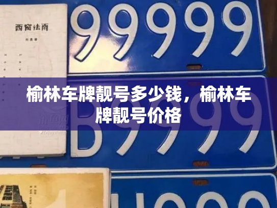 榆林车牌靓号多少钱，榆林车牌靓号价格-第2张图片-七号汽车选号