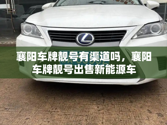 襄阳车牌靓号有渠道吗，襄阳车牌靓号出售新能源车-第3张图片-七号汽车选号