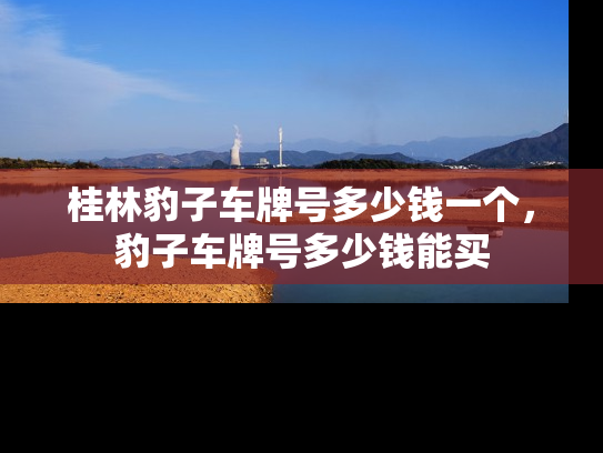 桂林豹子车牌号多少钱一个，豹子车牌号多少钱能买