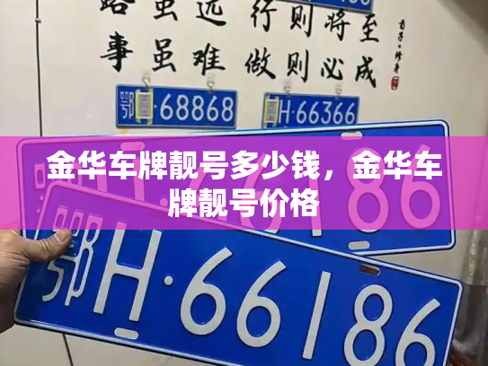 金华车牌靓号多少钱，金华车牌靓号价格-第3张图片-七号汽车选号