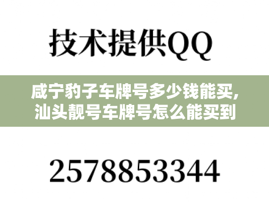 咸宁豹子车牌号多少钱能买,汕头靓号车牌号怎么能买到