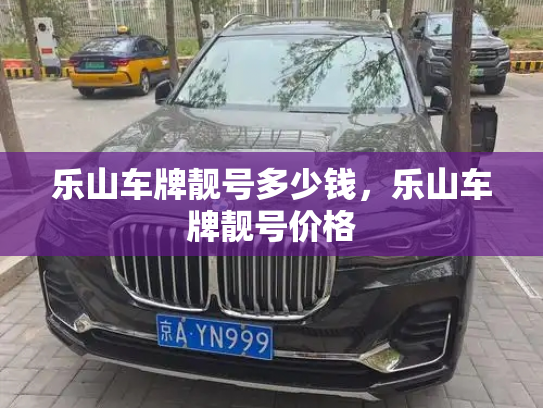 乐山车牌靓号多少钱,乐山车牌靓号价格-第3张图片-七号汽车选号 乐山车牌靓号多少钱,乐山车牌靓号价格-第3张图片-七号汽车选号