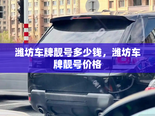 潍坊车牌靓号多少钱,潍坊车牌靓号价格-第4张图片-七号汽车选号 潍坊车牌靓号多少钱,潍坊车牌靓号价格-第4张图片-七号汽车选号