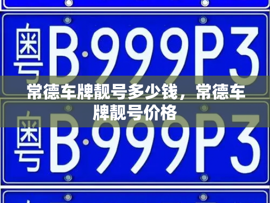 常德车牌靓号多少钱,常德车牌靓号价格-第3张图片-七号汽车选号 常德车牌靓号多少钱,常德车牌靓号价格-第3张图片-七号汽车选号