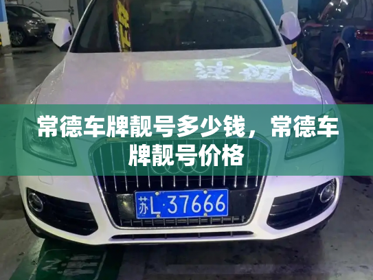 常德车牌靓号多少钱,常德车牌靓号价格-第4张图片-七号汽车选号 常德车牌靓号多少钱,常德车牌靓号价格-第4张图片-七号汽车选号