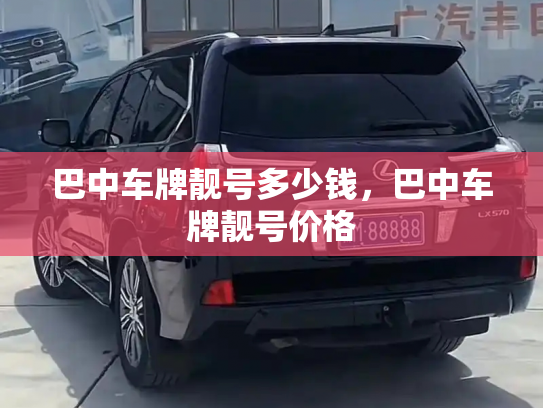 巴中车牌靓号多少钱,巴中车牌靓号价格-第3张图片-七号汽车选号 巴中车牌靓号多少钱,巴中车牌靓号价格-第3张图片-七号汽车选号