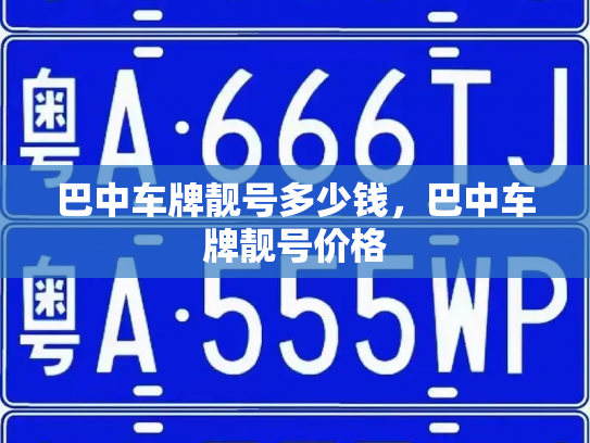 巴中车牌靓号多少钱,巴中车牌靓号价格-第4张图片-七号汽车选号 巴中车牌靓号多少钱,巴中车牌靓号价格-第4张图片-七号汽车选号
