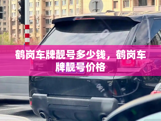 鹤岗车牌靓号多少钱，鹤岗车牌靓号价格-第3张图片-七号汽车选号