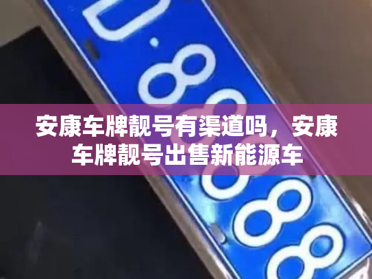 安康车牌靓号有渠道吗，安康车牌靓号出售新能源车-第2张图片-七号汽车选号